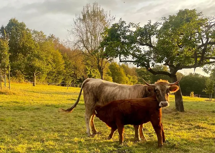 Im Gruenen * Morsdorf